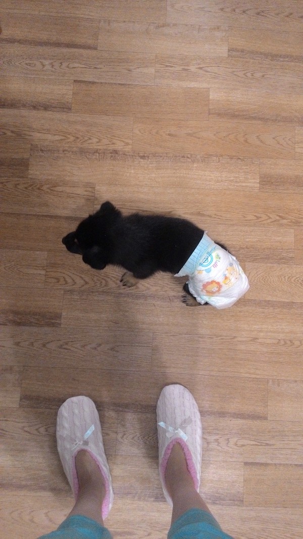 ������ ������������