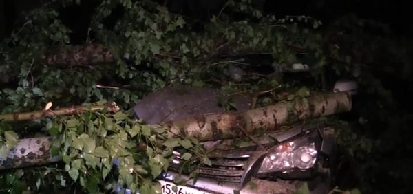 Москву настиг грозовой фронт. Его последствия (Видео)