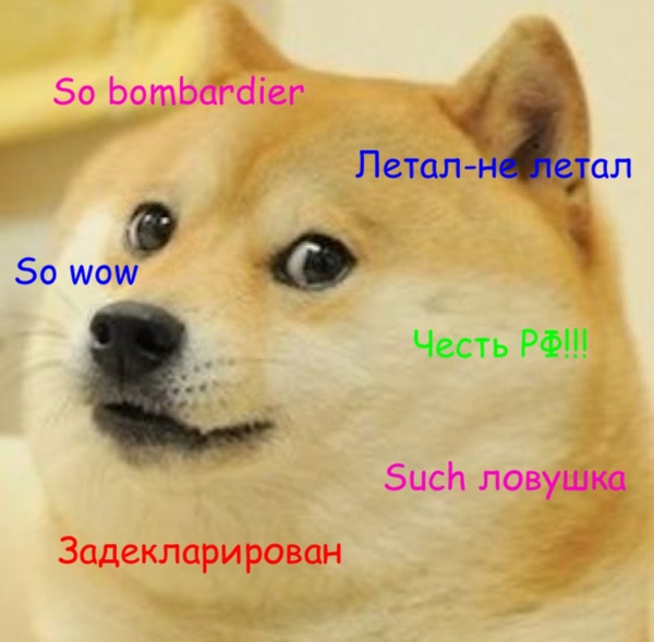  doge      ...