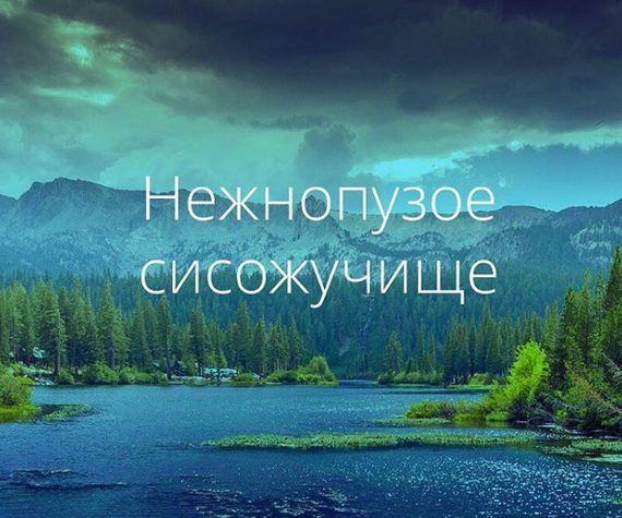   , , 