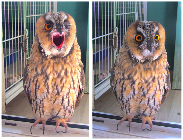 "�������"