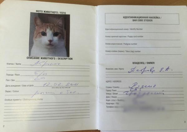 Паспорт готов ...(в продолжение поста)