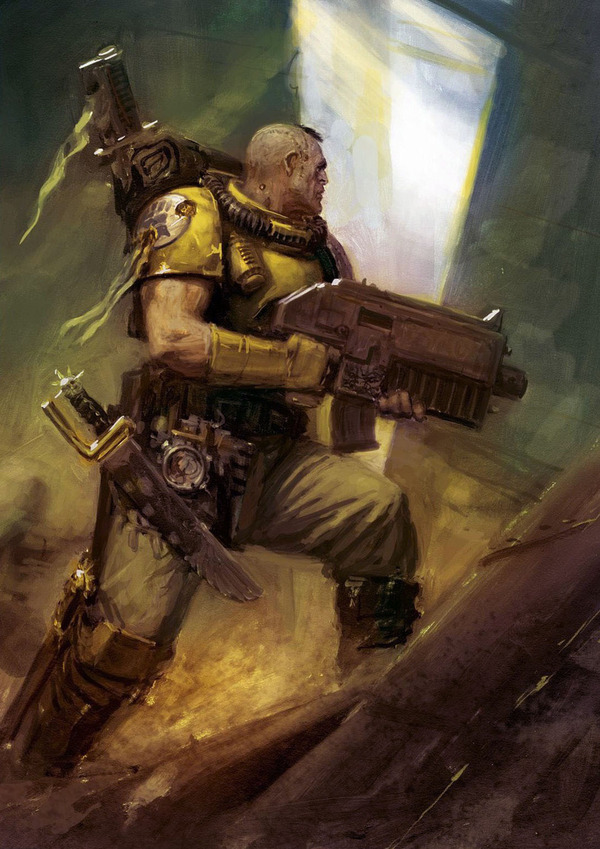  Warhammer 40k, , Imperial fists