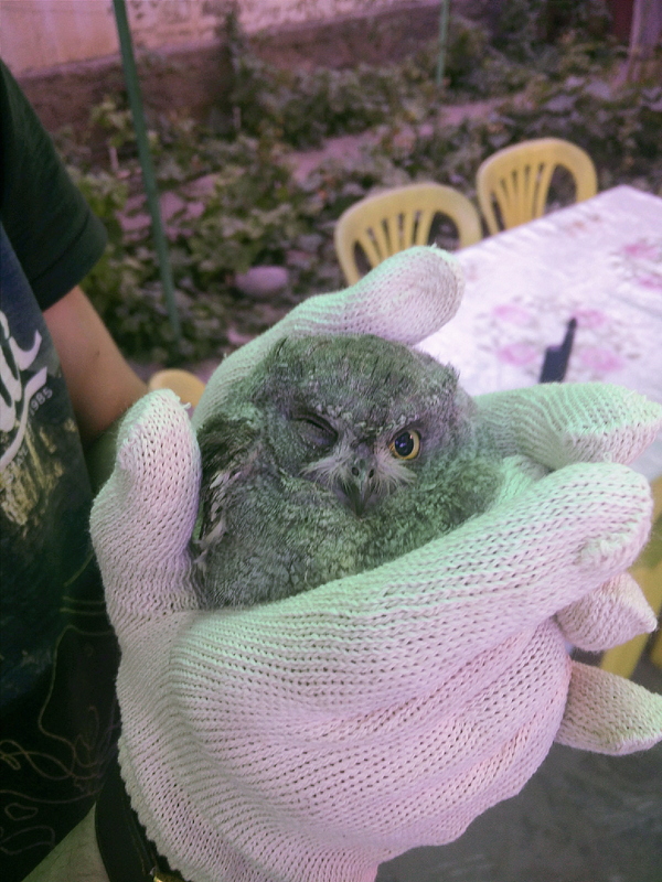 Отпусти меня, человек