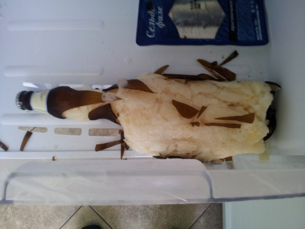 Тот момент, когда забыл, что лёд расширяется