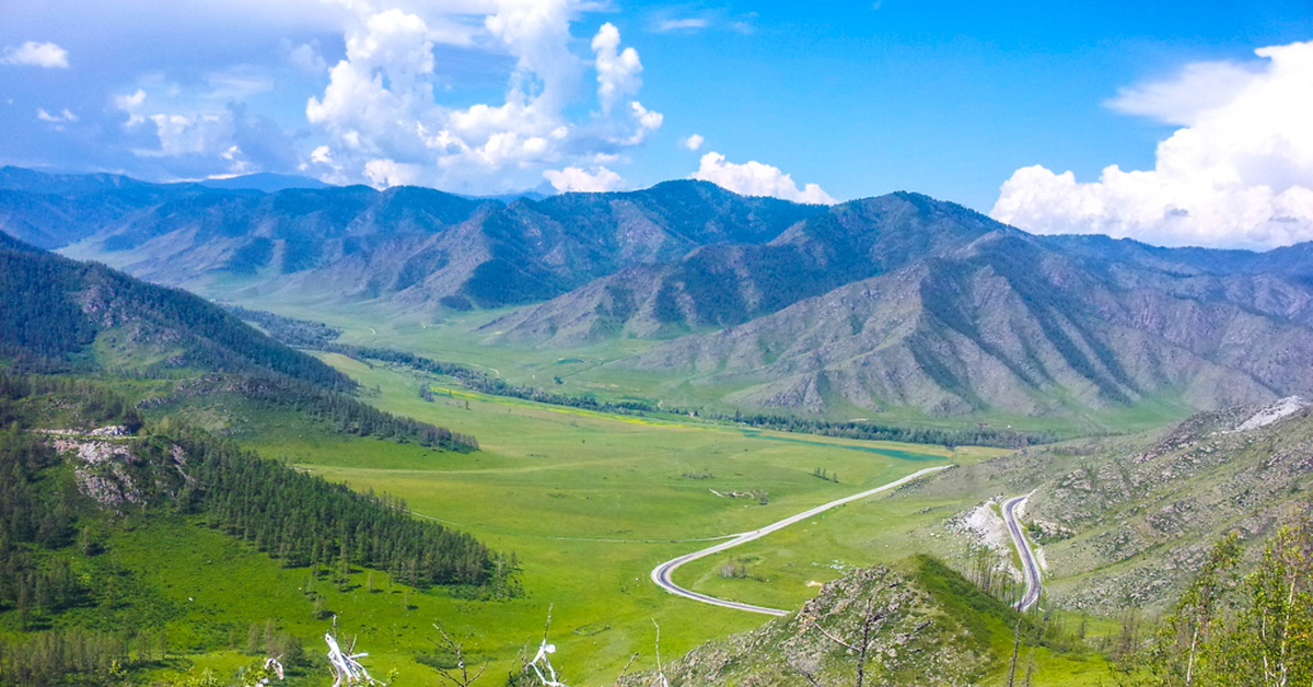 Явка алтай. Чике-Таман перевал горный Алтай. Перевал Чике Таман в Горном Алтае. Горный Алтай гора чикеиаман. Джангысколь озеро горный Алтай.