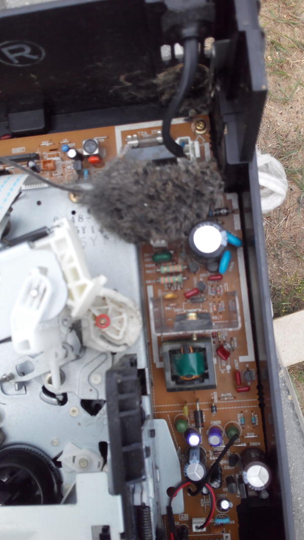 ����� �������� ��������, ��������, �������.