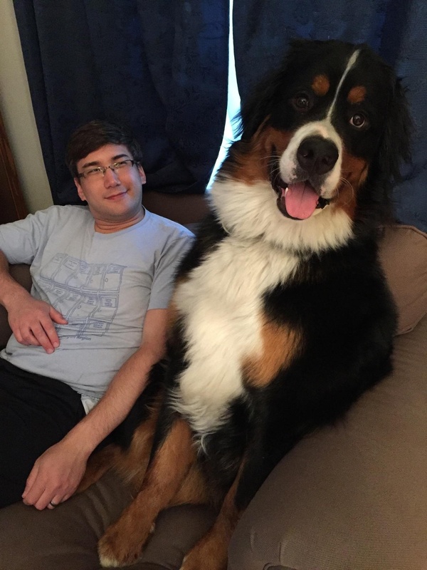 Этот пес считает себя человеком