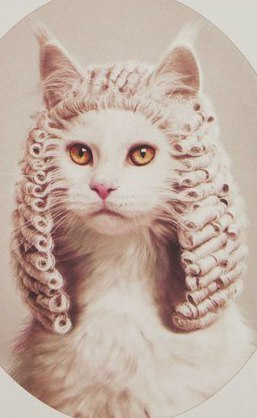 ���.���������������. ����� ������ � �������