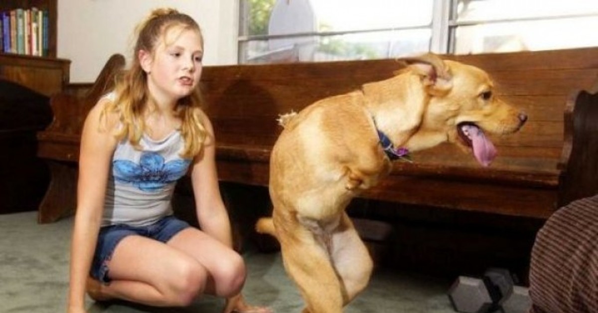 Зоосек. Девушка вместо собаки. Собака с человеческими ногами. Собака хочет девчонку. Собака хочет девочку.