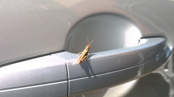 Наверное я сяду с другой стороны...