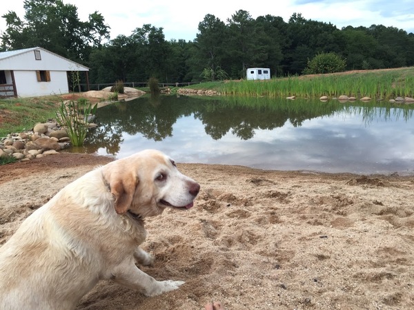 &quot;     ,   &quot;