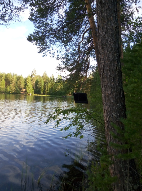 � 50 �� �� ������