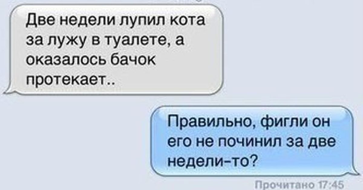Не чини. Две недели лупил кота за лужу в туалете. Анекдоты самые смешные. Бачок потек прикол. Кот лужа туалет
