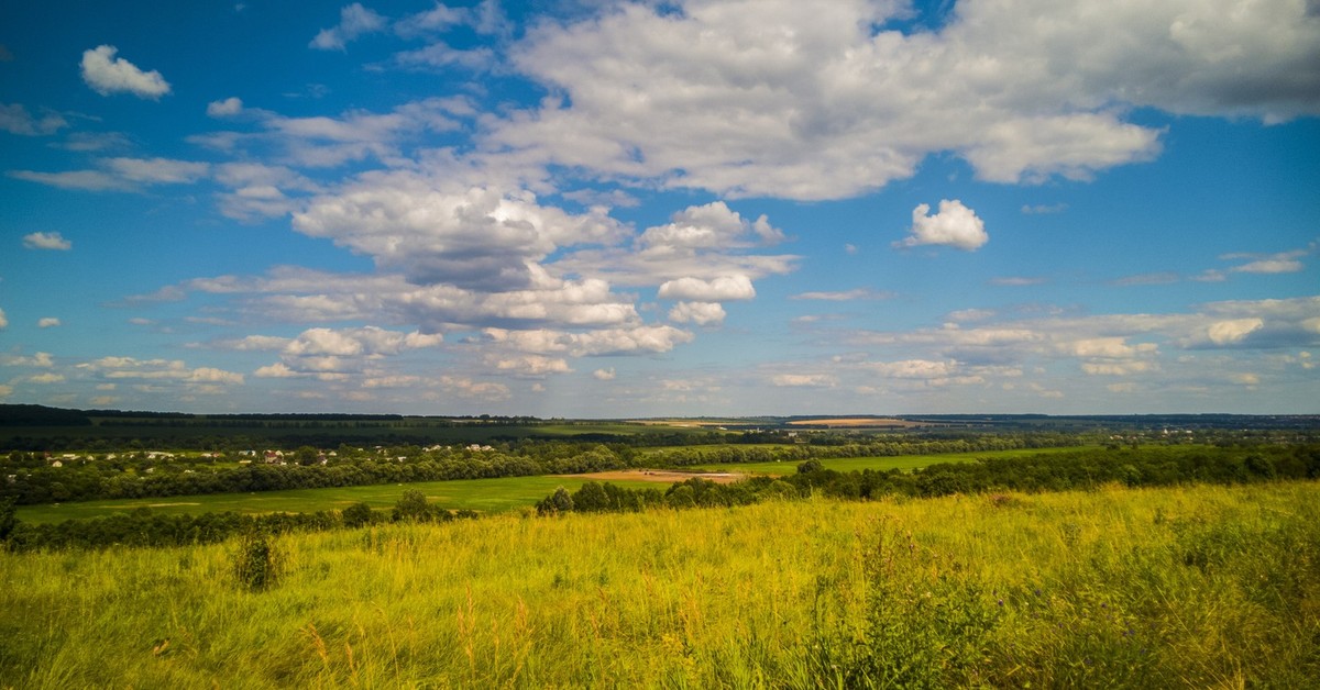 Курган поле