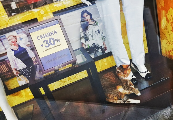 Магазин: "Все для сильной независимой женщины"