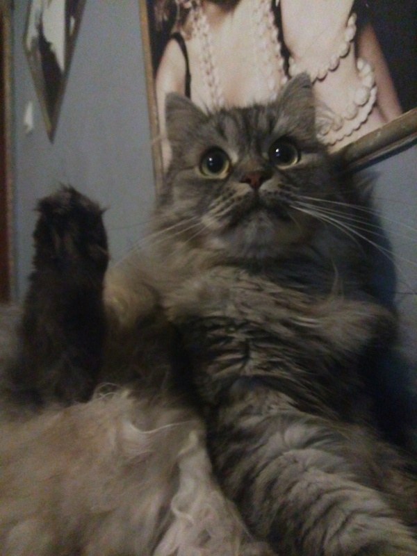 ������� �� ���� �����