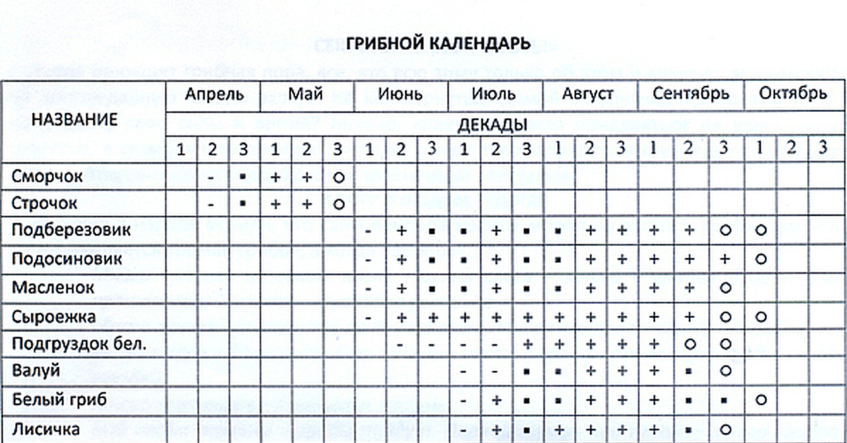 Календарь расписание таблица