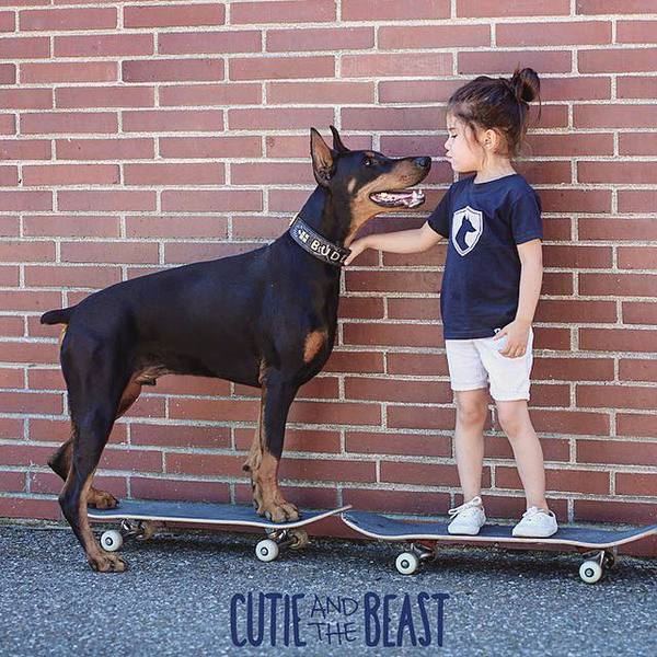 ������ ������ �������... ������ �� ...