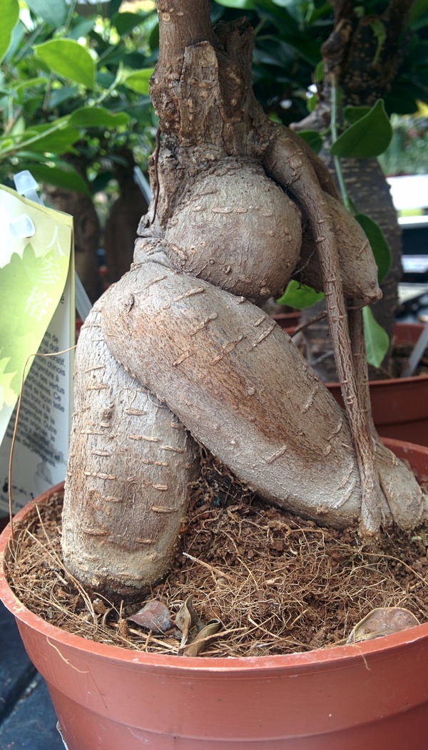 �������� � ����������)