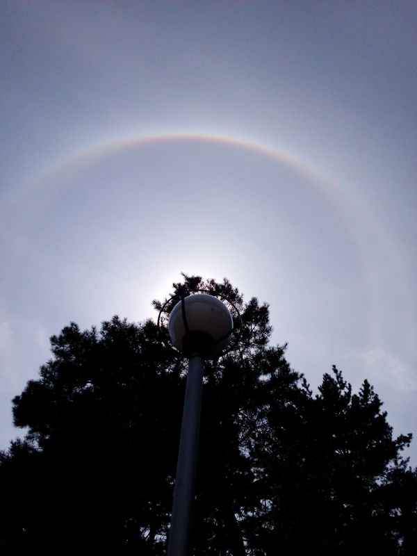 ������ �� ������