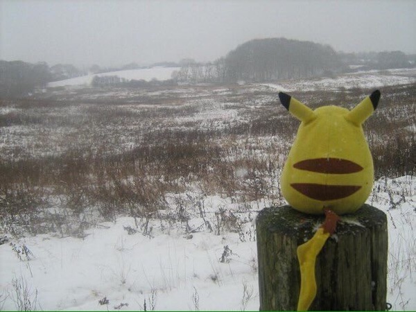 , 2017 . Pokemon Go       (   0,07 /. ).