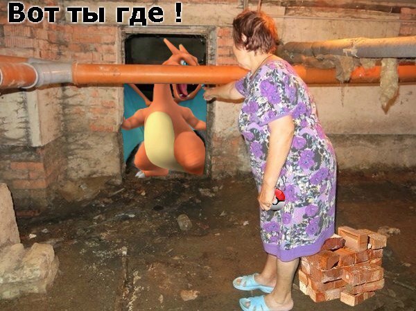 В тему pokemon go