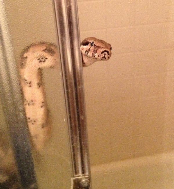 Полотенце подашь?