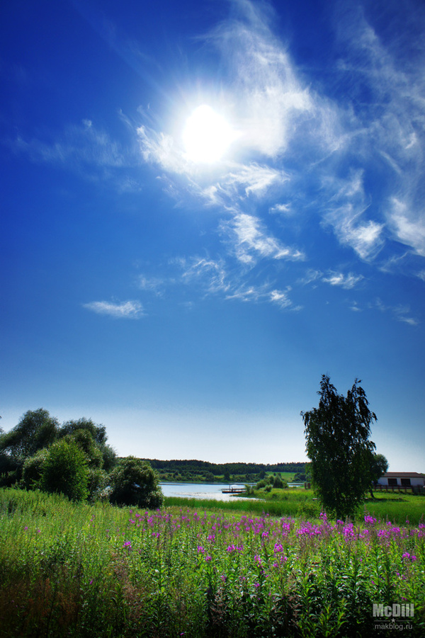 В районе Рузы (Московская область)