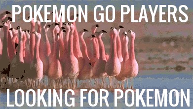     Pokemon Go