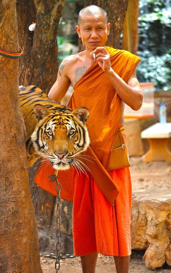 ��� �������� �� �������,���� �� ����������