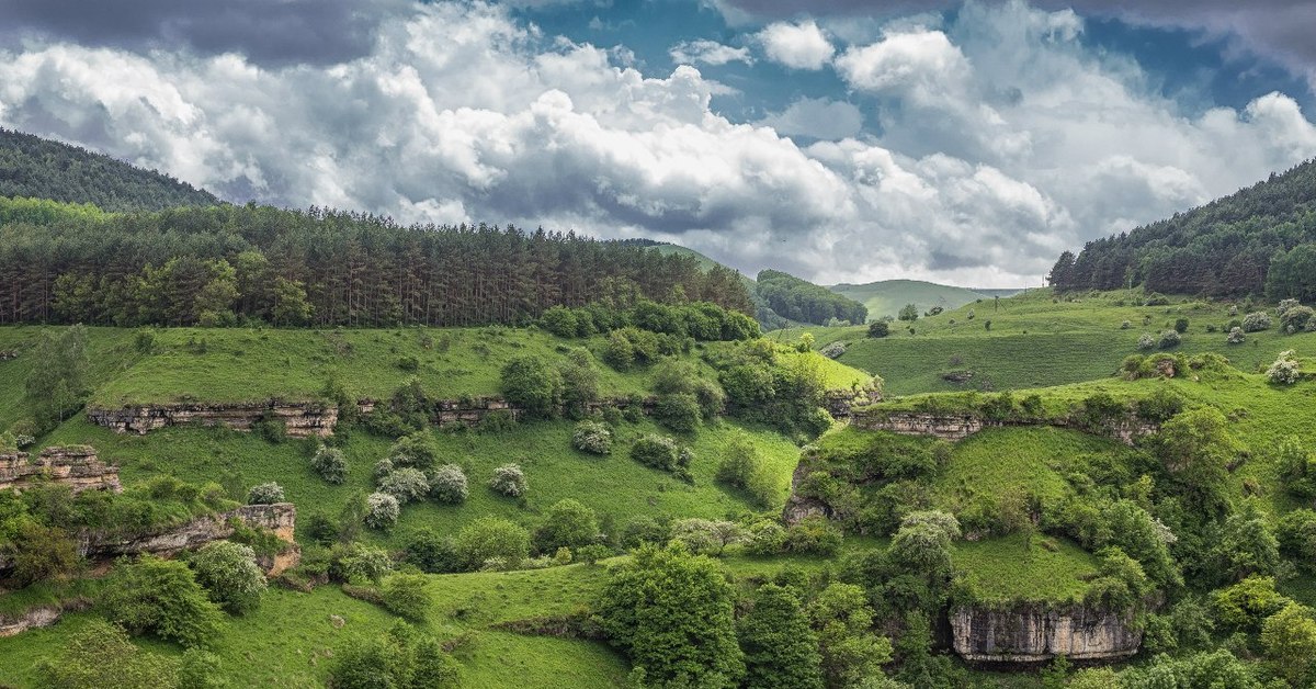 Ставропольский край фото. Лермонтовская скала Кисловодск. Лермонтовская Поляна Кисловодск. Скалы Долина Кисловодск. Ущелье реки Ольховка Кисловодск.