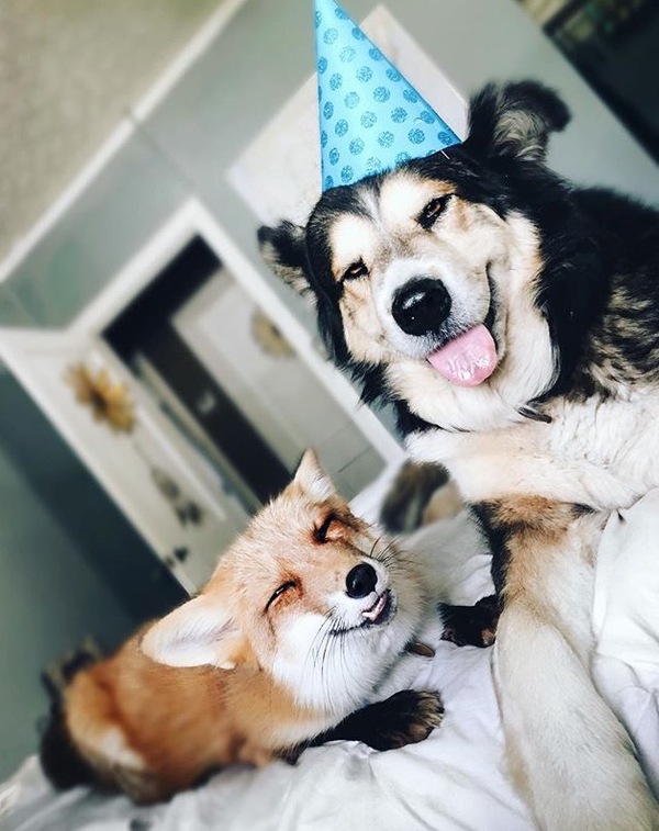 Лучшие друзья