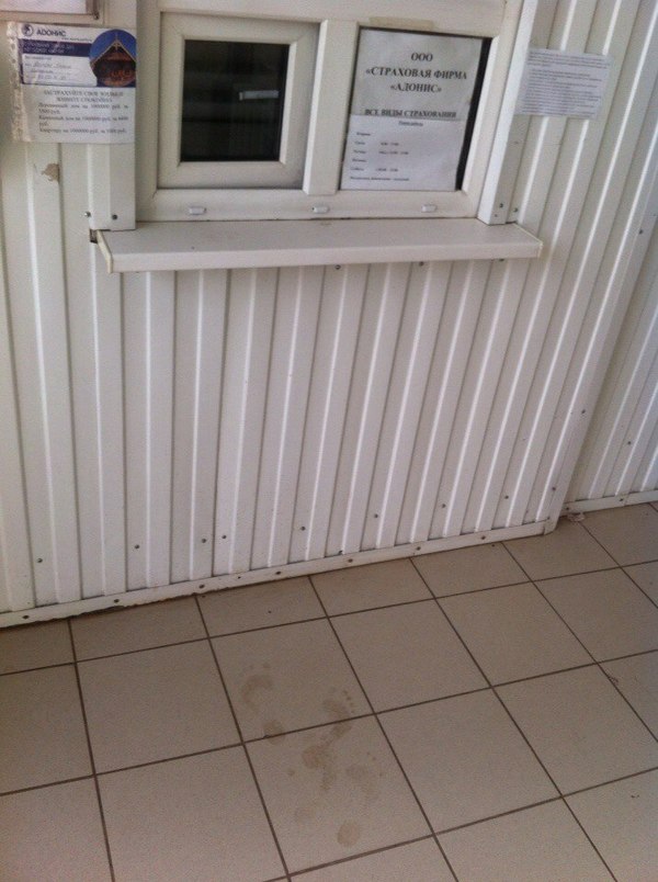 Когда отдал последние деньги на страховку