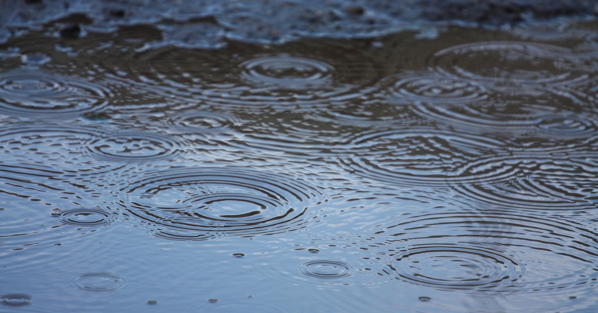 Разлитая вода. Круги на воде. Капли дождя на воде. Лужа воды.