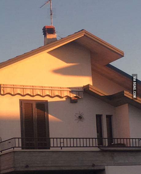 "Потому что ты в Австралии, детка!"