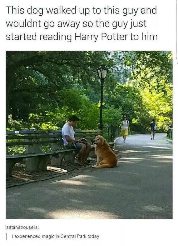 ,  , , 