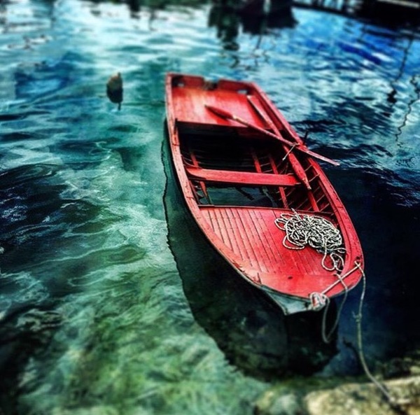 �������������...