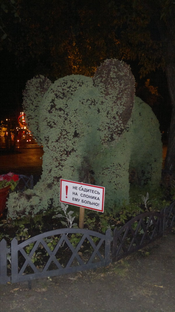 ������ ,�������� ������