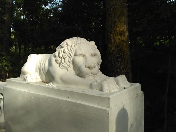 &quot;,     &quot; -      