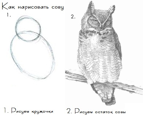 We draw an owl. - My, Handmade, With your own hands, My, Handmade, , Longpost