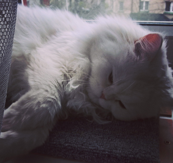 ���� ������ ��������...������� ��������:))