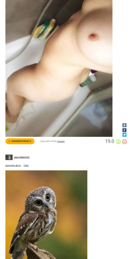 I'm scrolling through the joy, the posts have successfully converged) - Erotic, Shower, NSFW, Owl