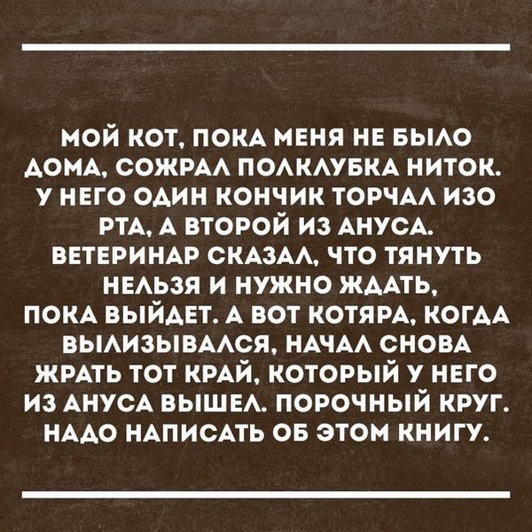 Порочный круг. Взято с VK