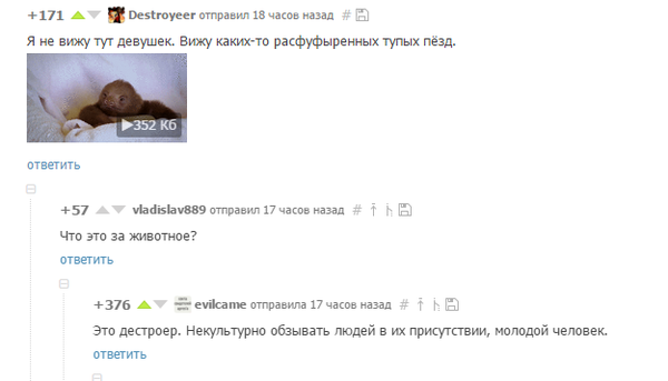 ������������ ���������