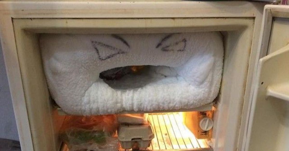 Из холодильника вынули закрытую крышкой. Смешной холодильник. Кот в морозилке.