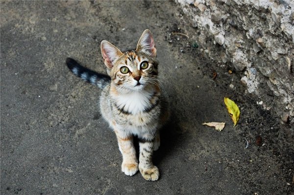 � ������ �������� ���, ��� ������ ������ �� �������.