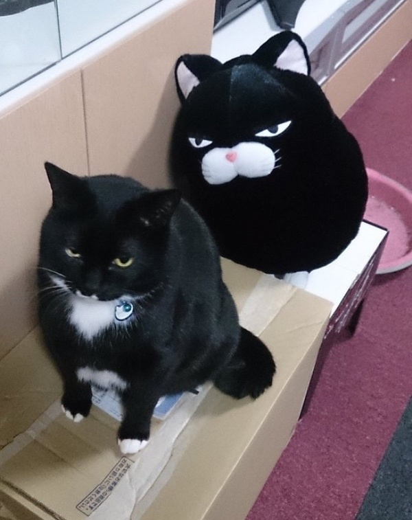 �������� ���������