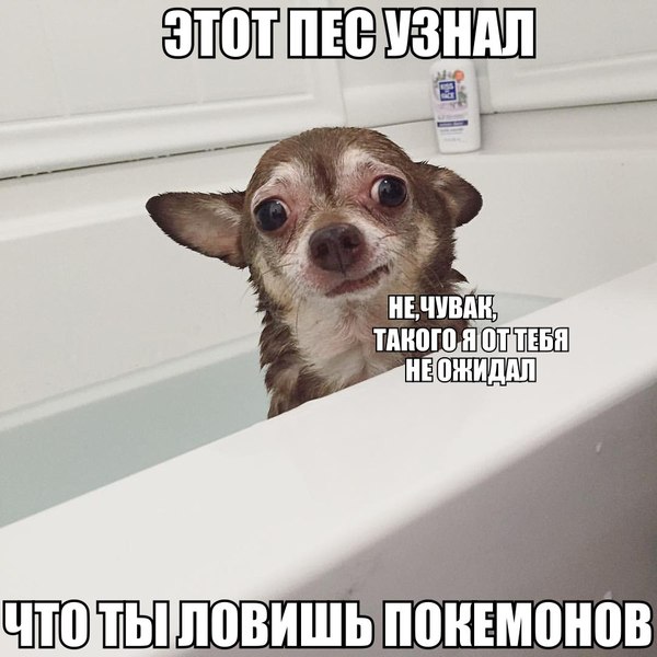 � ����������