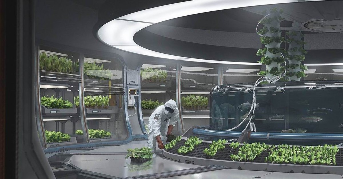 Какой овощ вырастили на космической станции. Марс гидропонные фермы. Аэропоника оранжерея. Аквапоника архитектура. Роботизированная гидропонная ферма.